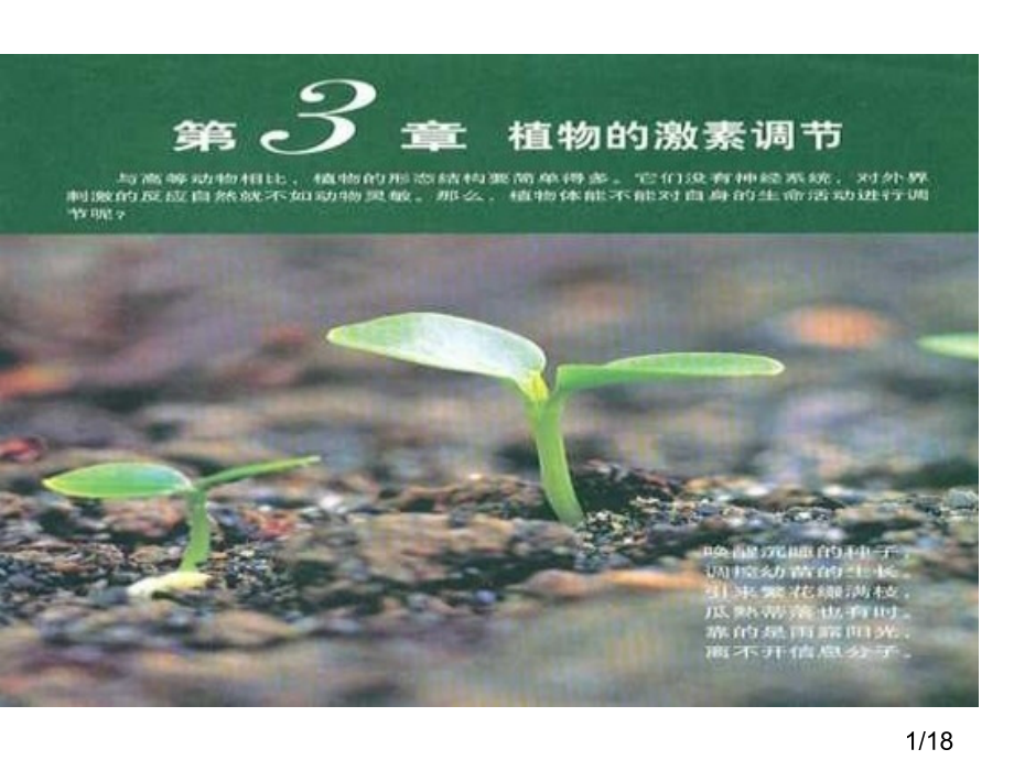 高二生物其他植物激素省名师优质课赛课获奖课件市赛课一等奖课件.ppt_第1页
