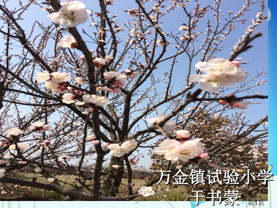 永生的眼睛完美版省名师优质课赛课获奖课件市赛课一等奖课件.ppt_第1页