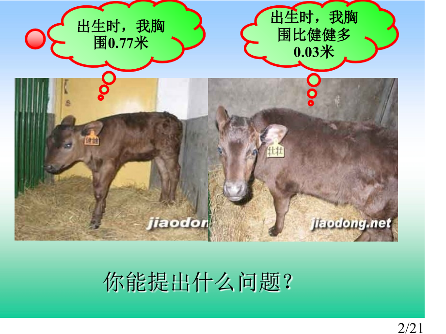 青版四年级下册第六单元信息窗1青岛新世纪学校张桂云省名师优质课赛课获奖课件市赛课一等奖课件.ppt_第2页