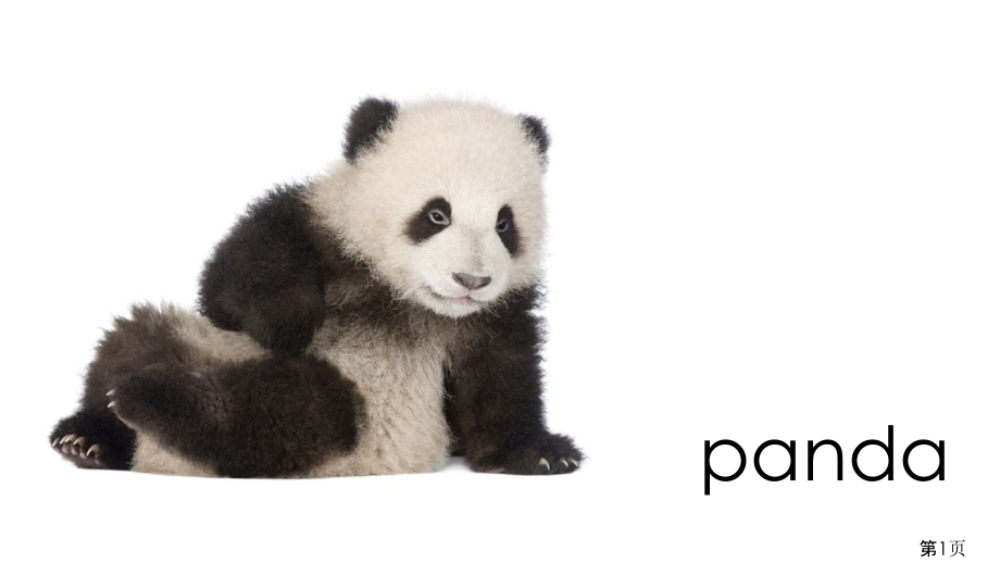 小学英语动物词汇练习省名师优质课获奖课件市赛课一等奖课件.ppt_第1页