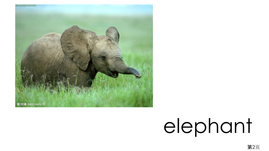 小学英语动物词汇练习省名师优质课获奖课件市赛课一等奖课件.ppt_第2页