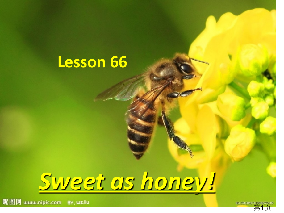 新概念英语第二册第66课省名师优质课获奖课件市赛课一等奖课件.ppt_第1页