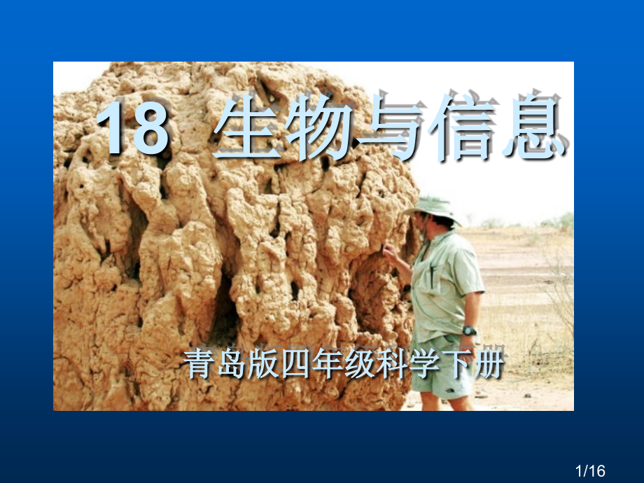 生物与信息市公开课一等奖百校联赛优质课金奖名师赛课获奖课件.ppt_第1页
