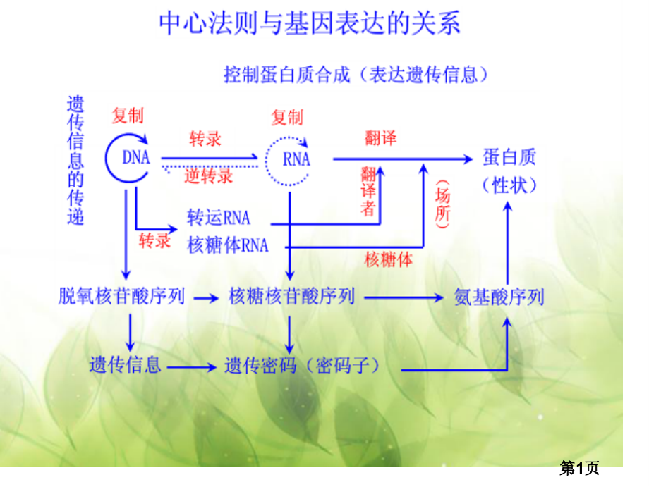 基因突变和基因重组优质课1127专题名师优质课获奖市赛课一等奖课件.ppt_第1页
