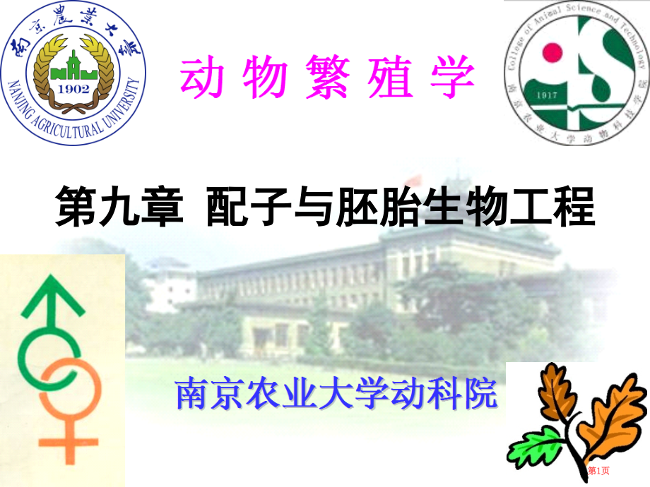 配子和胚胎生物工程省名师优质课赛课获奖课件市赛课百校联赛优质课一等奖课件.pptx_第1页