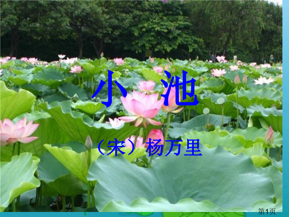 古诗杨万里《小池》教案省名师优质课赛课获奖课件市赛课一等奖课件.ppt_第1页