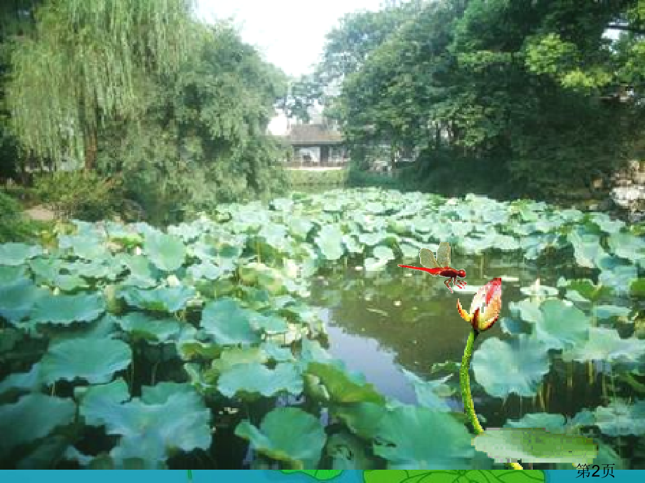 古诗杨万里《小池》教案省名师优质课赛课获奖课件市赛课一等奖课件.ppt_第2页