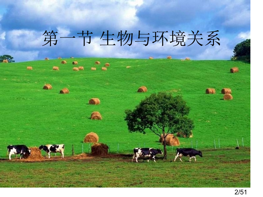 -生物与环境的关系[新]市公开课获奖课件省名师优质课赛课一等奖课件.ppt_第2页