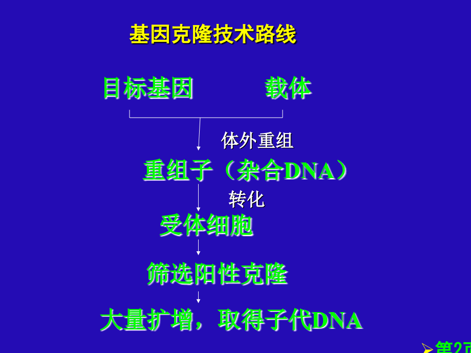 原核生物的基因表达和操作省名师优质课获奖课件市赛课一等奖课件.ppt_第2页