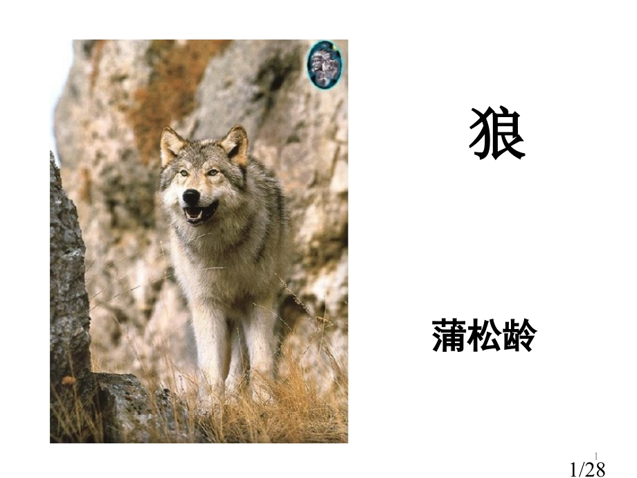 人教版七年级语文下册+第30课+《狼》+教学省名师优质课赛课获奖课件市赛课一等奖课件.ppt_第1页