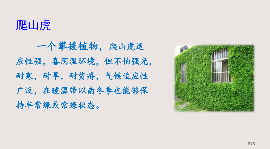 部编版10-爬山虎的脚市公共课一等奖市赛课金奖课件.pptx_第1页