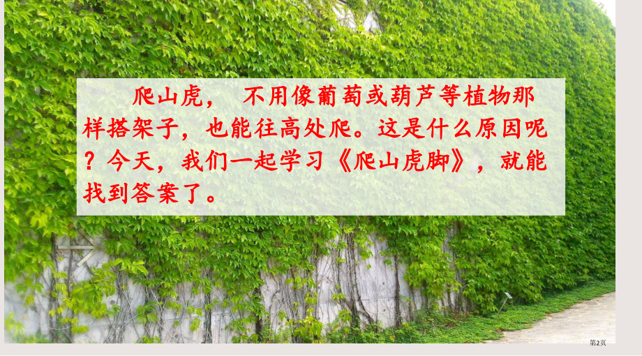 部编版10-爬山虎的脚市公共课一等奖市赛课金奖课件.pptx_第2页