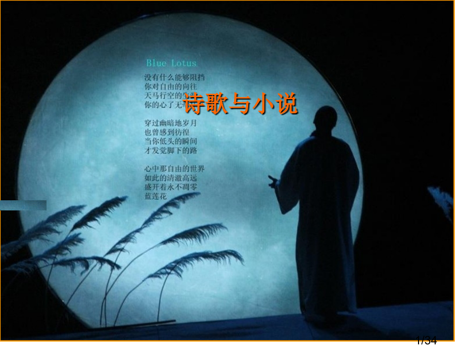 《诗歌与小说》教学课件市公开课获奖课件省名师优质课赛课一等奖课件.ppt_第1页