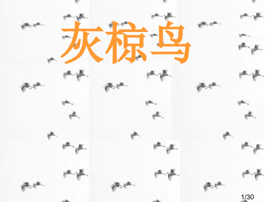 《灰椋鸟》第二课时PPT市公开课获奖课件省名师优质课赛课一等奖课件.ppt_第1页