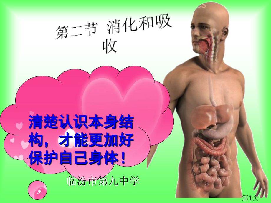 消化和吸收人教版省名师优质课获奖课件市赛课一等奖课件.ppt_第1页