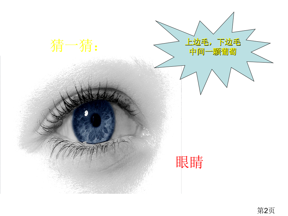 小学生预防近视省名师优质课赛课获奖课件市赛课一等奖课件.ppt_第2页
