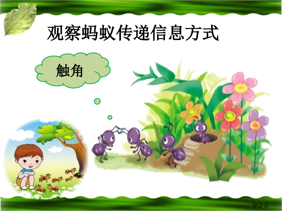 生物是怎样传递信息的参考汇总省名师优质课获奖课件市赛课一等奖课件.ppt_第2页