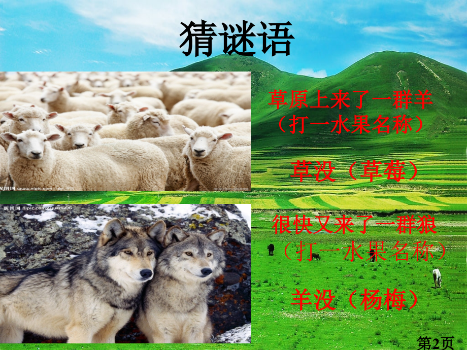 苏教小学科学六年级下册有趣的食物链汇总省名师优质课获奖课件市赛课一等奖课件.ppt_第2页