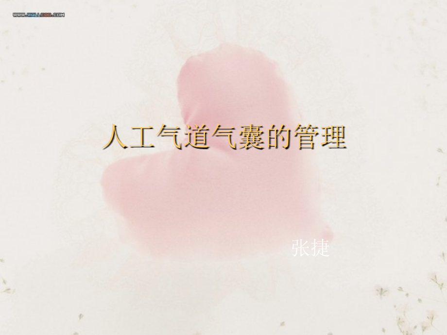 气囊的管理.ppt_第1页