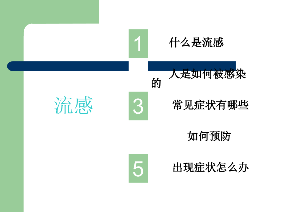 流感的健康宣教.pptx_第2页
