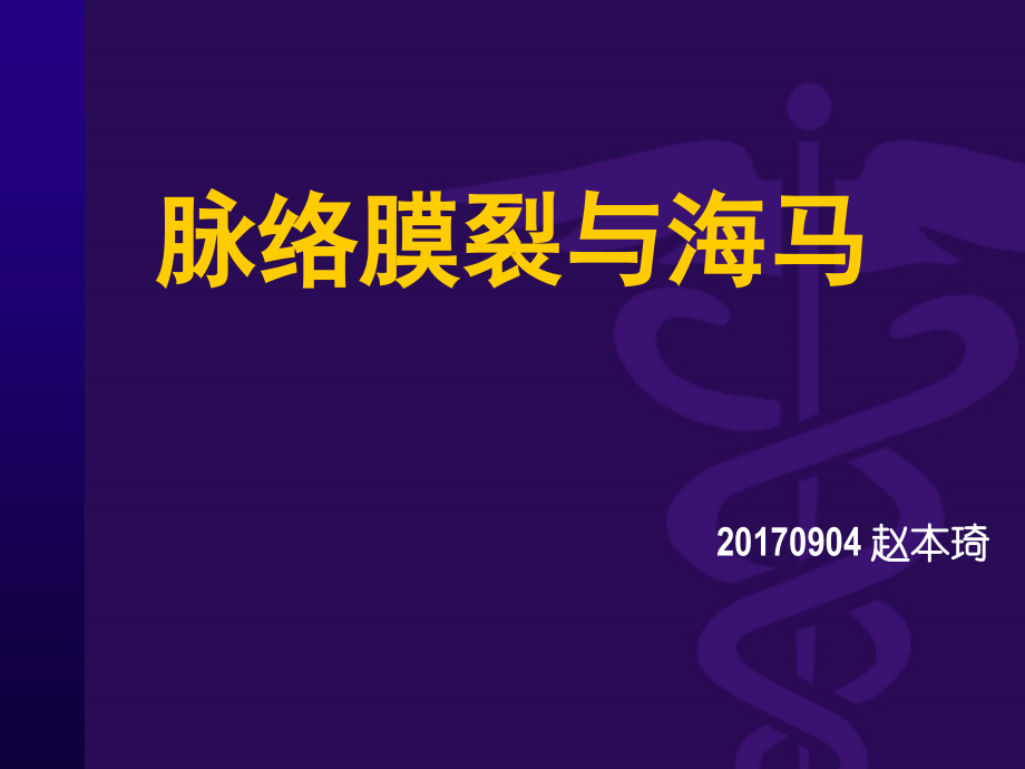 脉络膜裂与海马.pptx_第1页