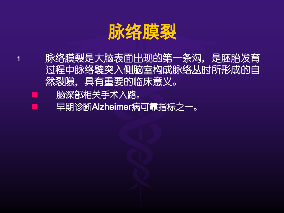 脉络膜裂与海马.pptx_第2页