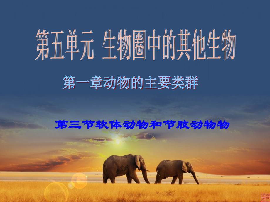 软体动物和节肢动物.pptx_第1页