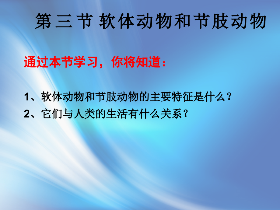 软体动物和节肢动物.pptx_第2页