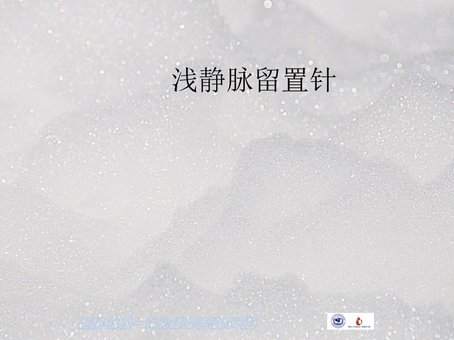 留置针PPT精.ppt_第1页