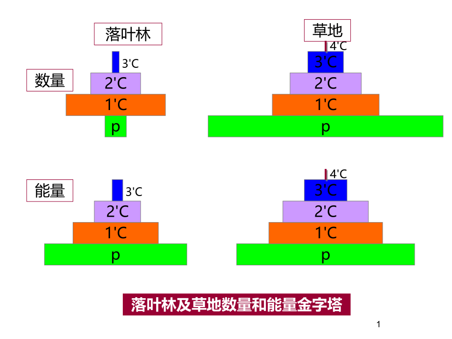 生态系统的能量流动的特点及其相关的计算-能量金字塔、数量金字塔、生物量金字塔-生物富集作用有关计算PP.ppt_第1页