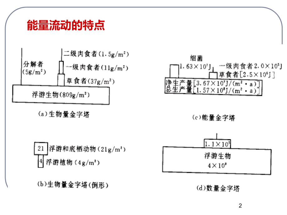 生态系统的能量流动的特点及其相关的计算-能量金字塔、数量金字塔、生物量金字塔-生物富集作用有关计算PP.ppt_第2页