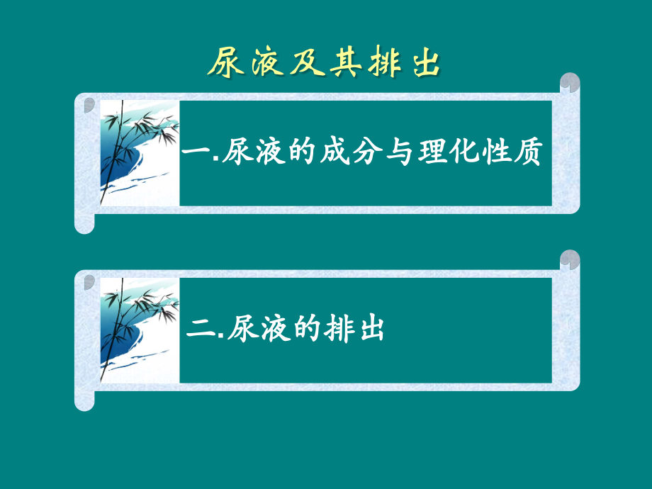 生理学尿液的排出.ppt_第2页