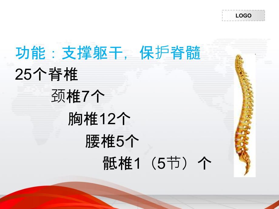 脊柱骨折与脊髓损伤的护理.ppt_第2页