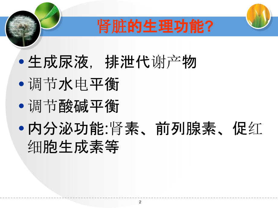 肾脏替代治疗ICU详解.ppt_第2页