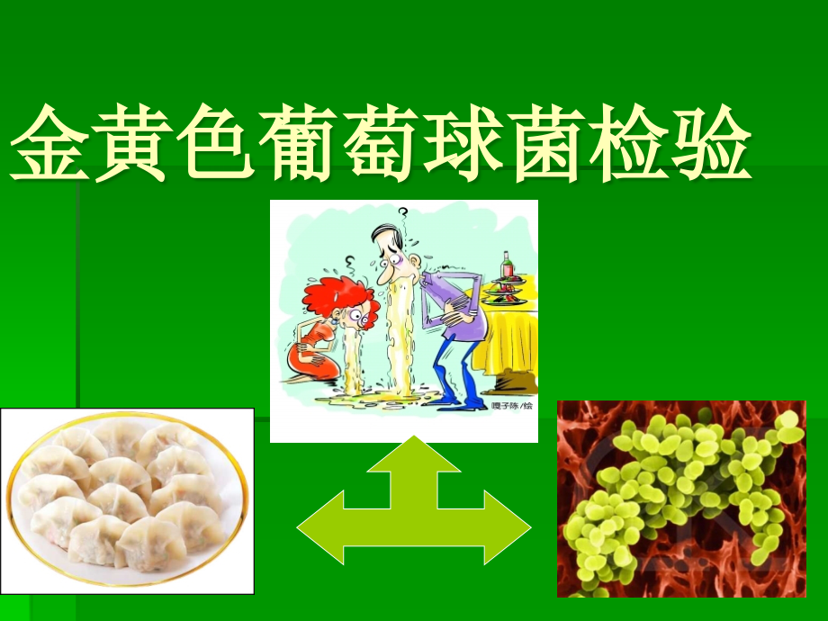 金黄色葡萄球菌GB解析.ppt_第1页