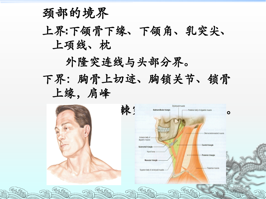 康复科颈部应用PPT.ppt_第2页