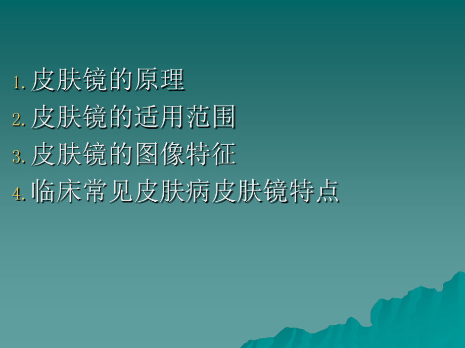 皮肤镜的临床应用.pptx_第2页