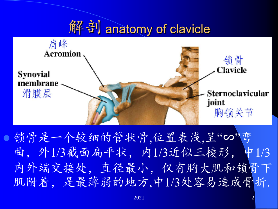 锁骨骨折诊断与治疗(图文).ppt_第2页