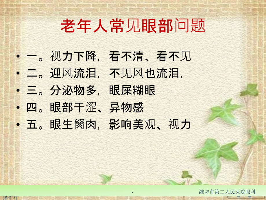 老人视力保健知识科普.pptx_第2页