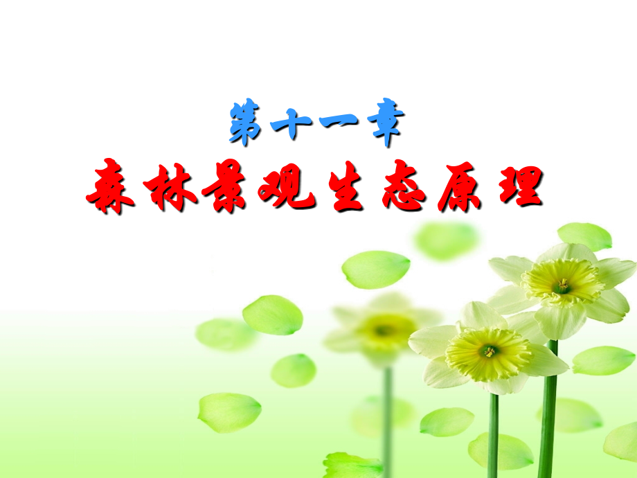 森林景观生态原理.ppt_第1页