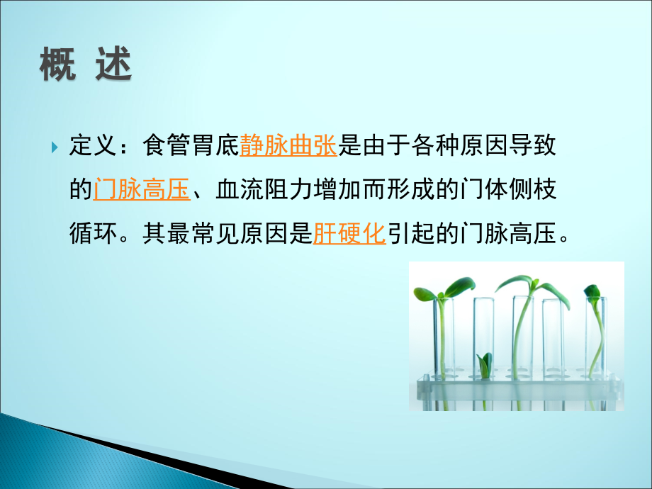 食管胃底静脉曲张破裂出血的护理.pptx_第2页