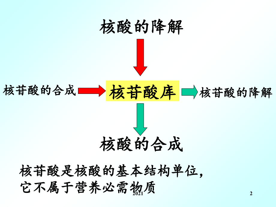 生化核苷酸代谢刘新光.ppt_第2页