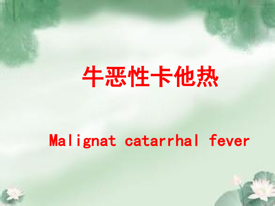 牛恶性卡他热.ppt_第1页