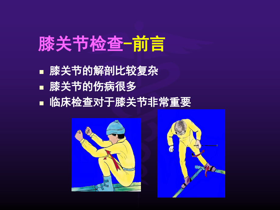 膝关节检查.ppt_第2页