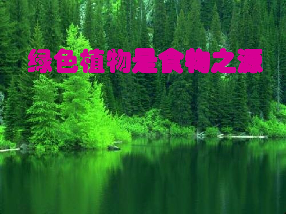 绿色植物是食物之源共张.ppt_第1页