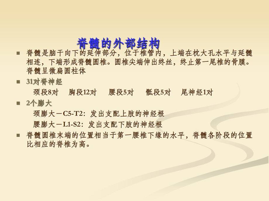 脊髓定位诊断及急性脊髓炎.ppt_第2页