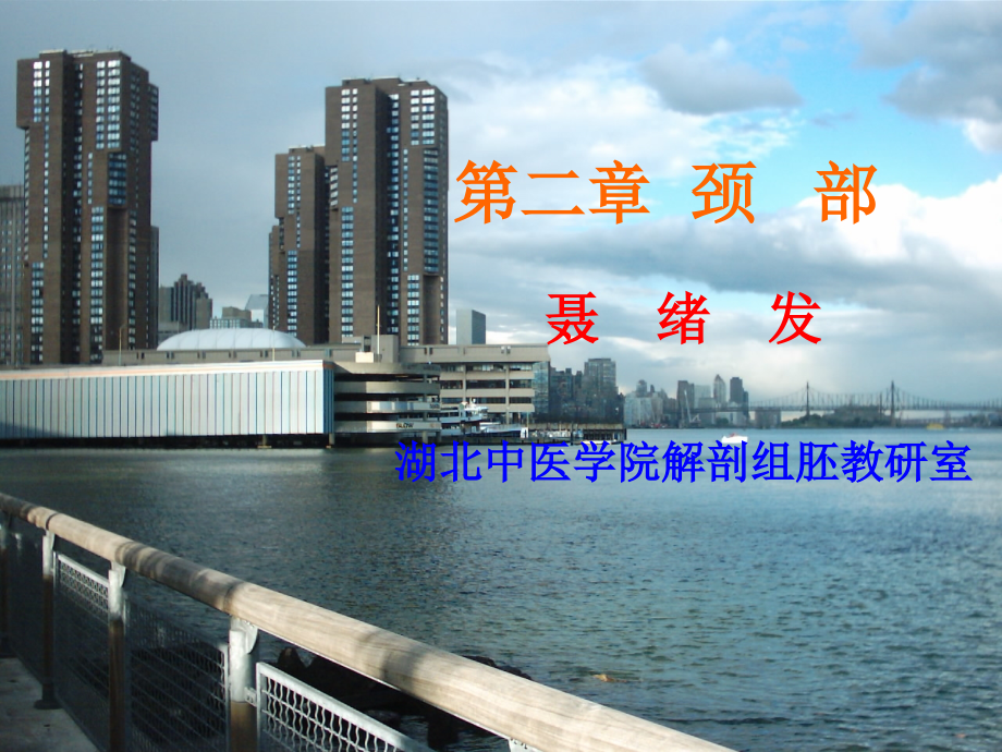 颈部精细解剖.ppt_第1页