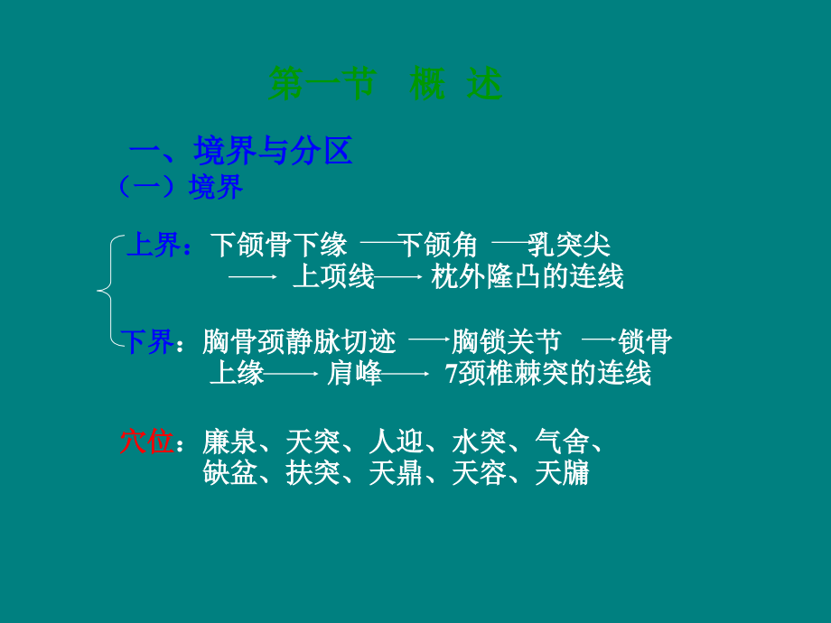 颈部精细解剖.ppt_第2页