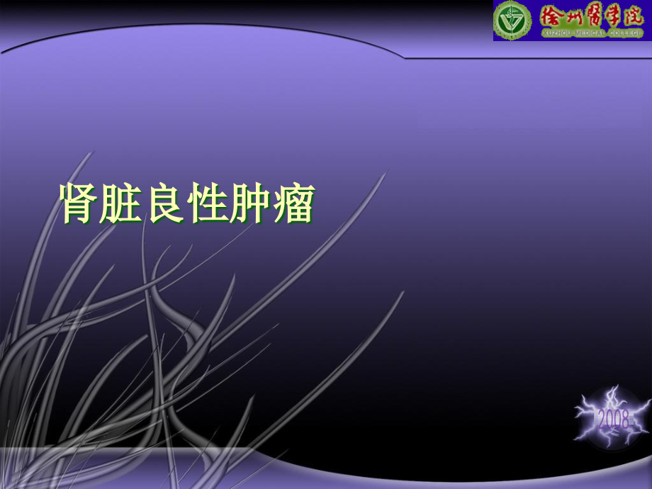 肾脏良性肿瘤.ppt_第1页