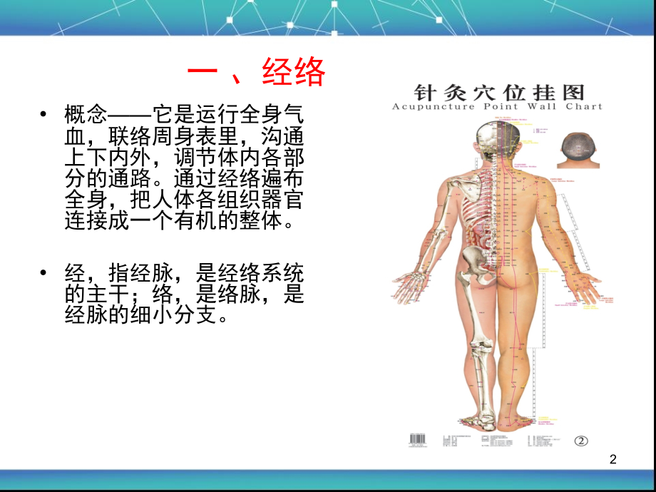 经络概论-骆立虎(宜宾市一医院康复科).ppt_第2页